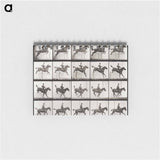 アートメモ帳-Animal Locomotion Plate 637
 - エドワード マイブリッジ Memo.