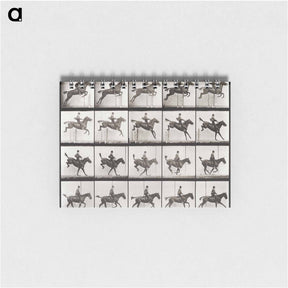 アートメモ帳-Animal Locomotion Plate 637
 - エドワード マイブリッジ Memo.