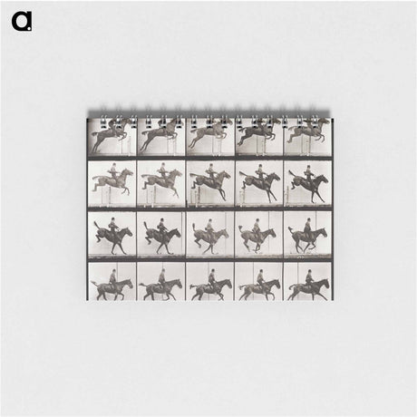 アートメモ帳-Animal Locomotion Plate 637
 - エドワード マイブリッジ Memo.