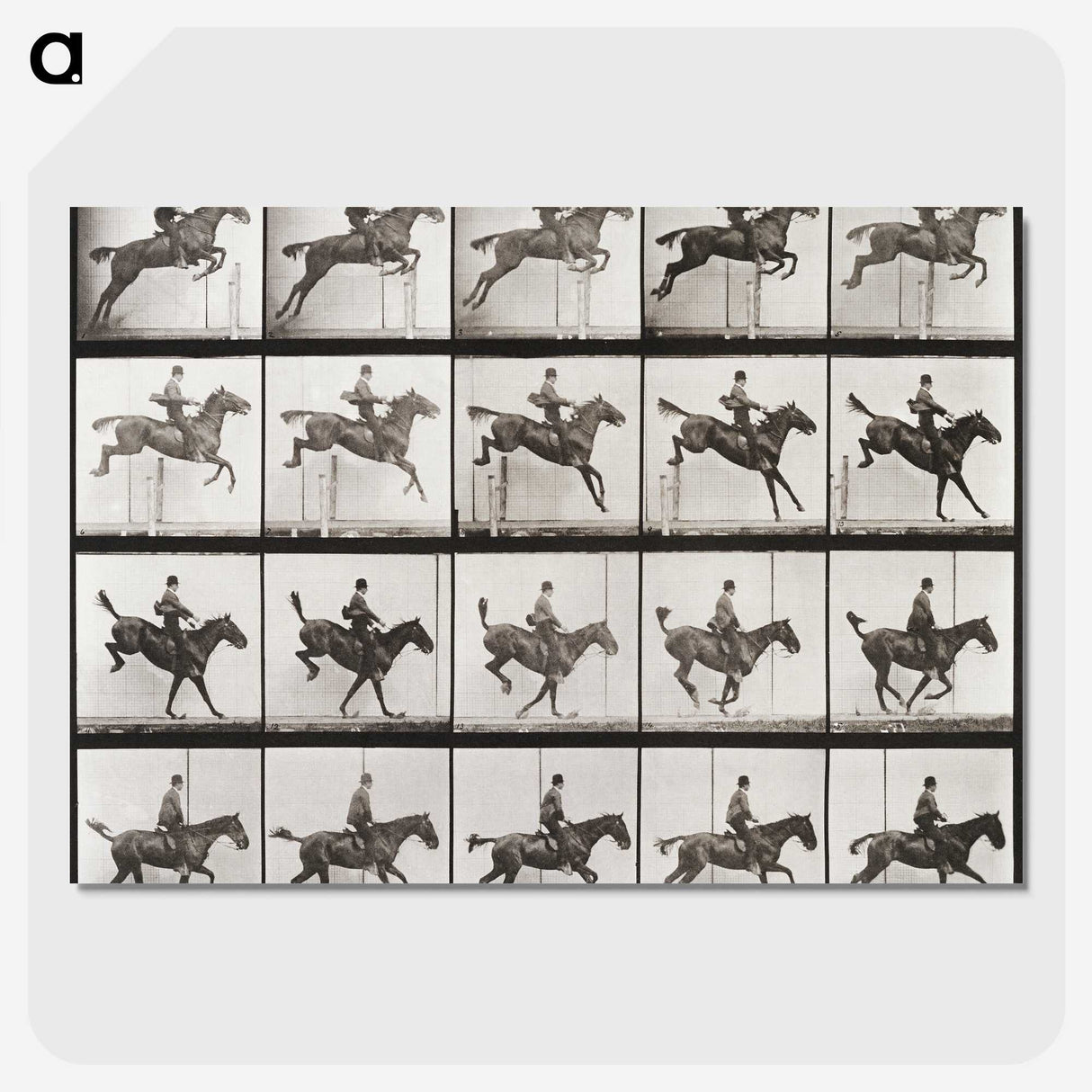2-64_Eadweard-Muybridge_picture-crop