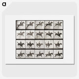 2-64_Eadweard-Muybridge_picture