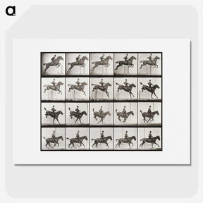 2-64_Eadweard-Muybridge_picture