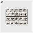 2-64_Eadweard-Muybridge_postcard