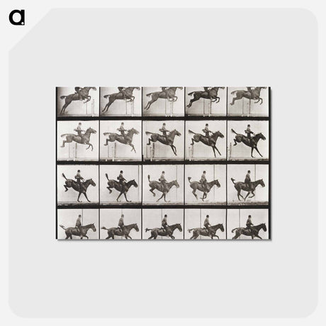 アートポストカード-Animal Locomotion Plate 637
 - エドワード マイブリッジ Postcard.