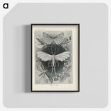 2-64_Ernst-Haeckel_blk-crop