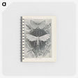 2-64_Ernst-Haeckel_memo