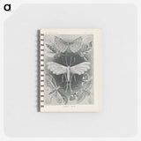 2-64_Ernst-Haeckel_memo