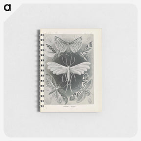 2-64_Ernst-Haeckel_memo