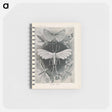 アートメモ帳-Moths illustration from Kunstformen der Natur - エルンスト ヘッケル Memo.