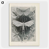 2-64_Ernst-Haeckel_picture-crop
