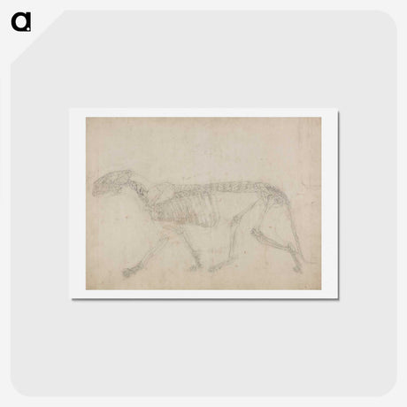 2-64_George-Stubbs_hagaki