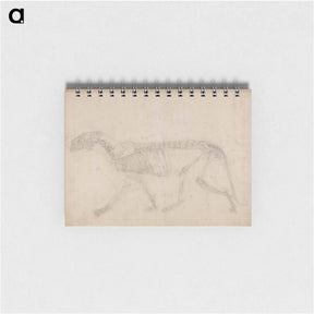 アートメモ帳-Tiger Skeleton, Lateral View
 - ジョージ スタッブス Memo.