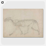 2-64_George-Stubbs_picture-crop