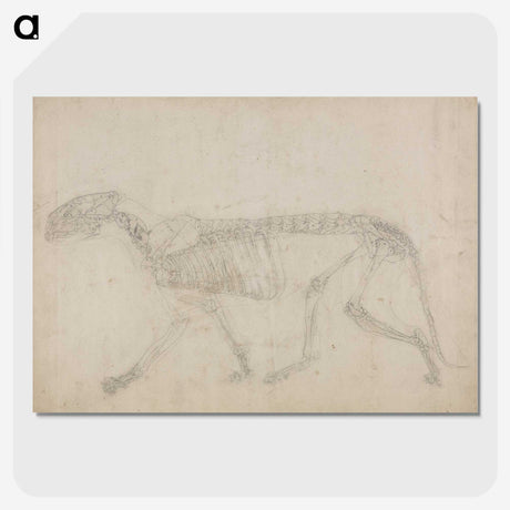 2-64_George-Stubbs_picture-crop