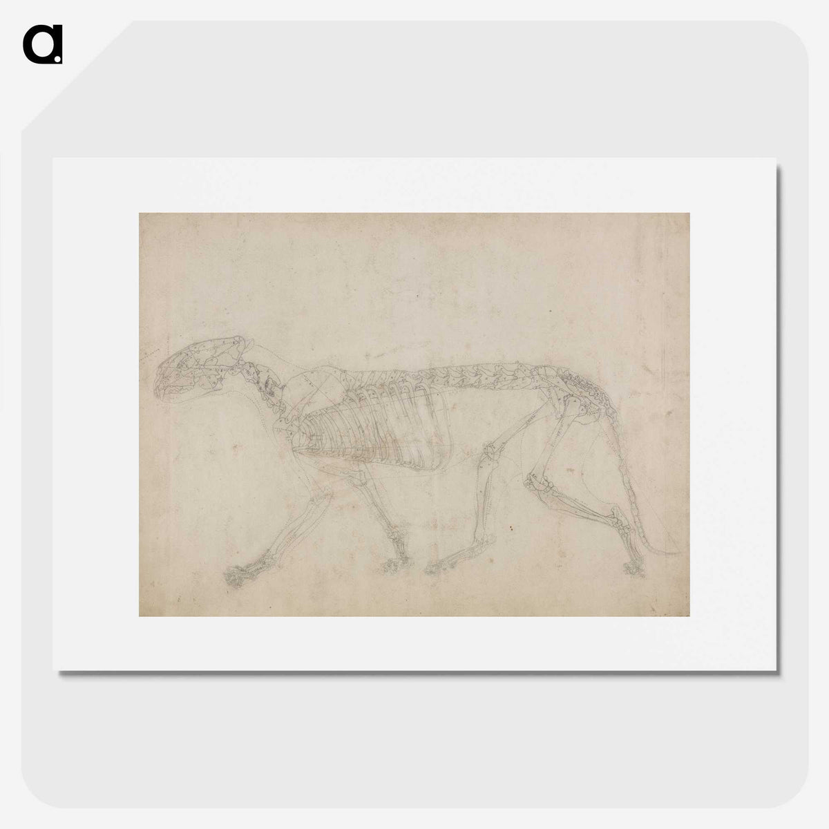 2-64_George-Stubbs_picture
