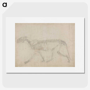 2-64_George-Stubbs_picture
