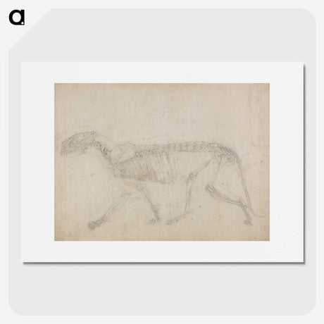 2-64_George-Stubbs_picture