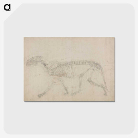 2-64_George-Stubbs_postcard