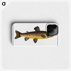 2-64_Ichtyologie-ou-Histoire-naturelle_phone