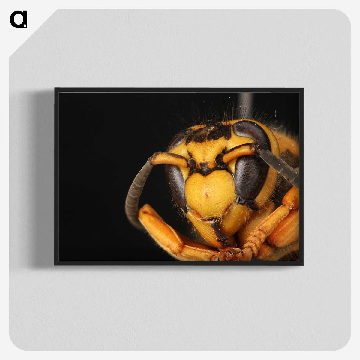 2-64_Insects-Unlocked-Project_blk-crop