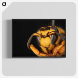 2-64_Insects-Unlocked-Project_blk-crop