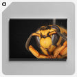 2-64_Insects-Unlocked-Project_canvas