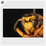 2-64_Insects-Unlocked-Project_picture-crop