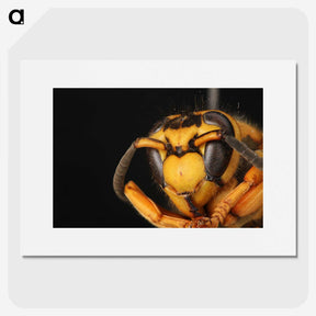 2-64_Insects-Unlocked-Project_picture