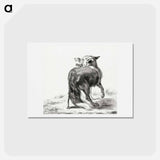 アートポストカード-Fox - ジャン ベルナール Postcard.