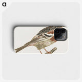 2-64_Johan-Teyler_phone