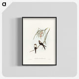 2-64_John-Gould_blk-crop