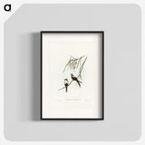 2-64_John-Gould_blk