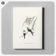 2-64_John-Gould_canvas