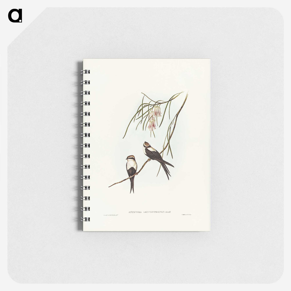 2-64_John-Gould_memo