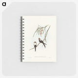 2-64_John-Gould_memo