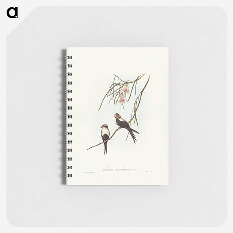 2-64_John-Gould_memo