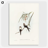 2-64_John-Gould_picture-crop