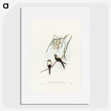 2-64_John-Gould_picture