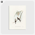 2-64_John-Gould_postcard