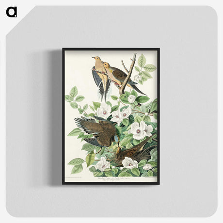 2-64_John-James-Audubon_blk-crop