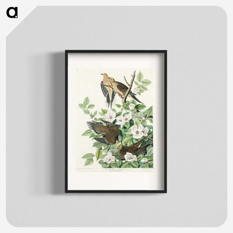 2-64_John-James-Audubon_blk