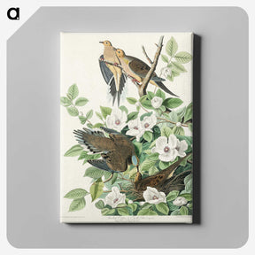 2-64_John-James-Audubon_canvas