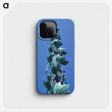 2-64_John-Margolies_phone