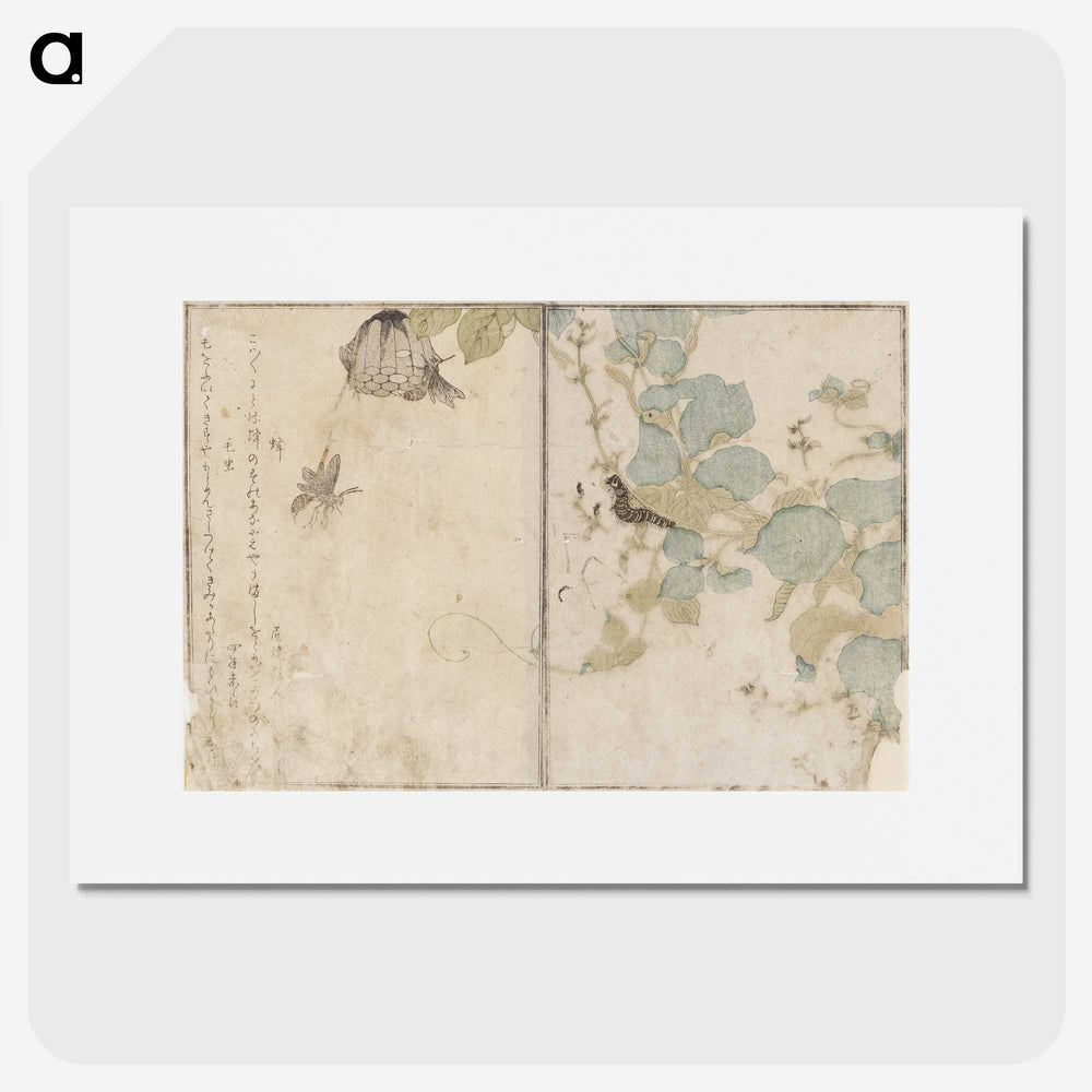 2-64_Kitagawa-Utamaro_picture