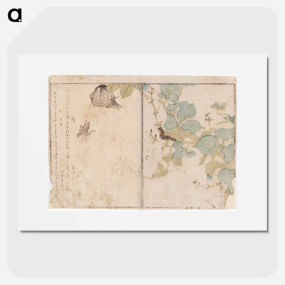 Caterpillar and bees - 喜多川 歌麿 Poster.
