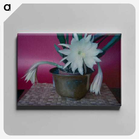 2-64_Leslie-Adkin_canvas