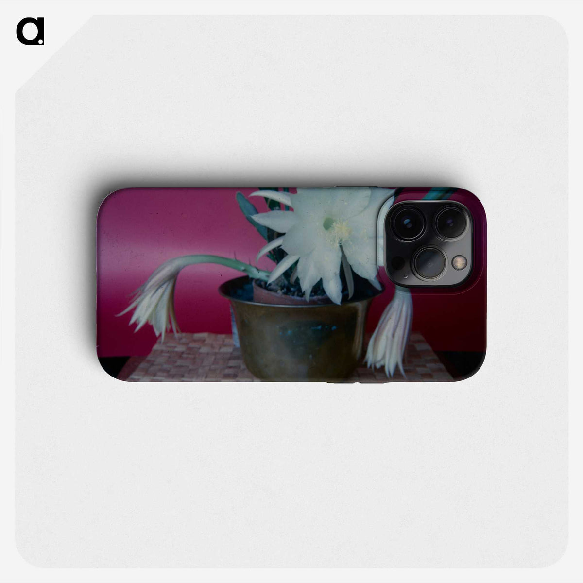 2-64_Leslie-Adkin_phone