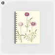 アートメモ帳-Scabiosa Atropurpurea
 - マリア ジビーラ メーリアン Memo.