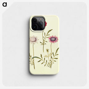 2-64_Maria-Sibylla-Merian_phone