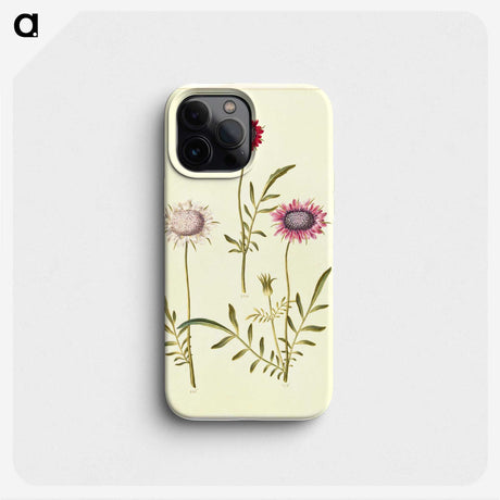 2-64_Maria-Sibylla-Merian_phone